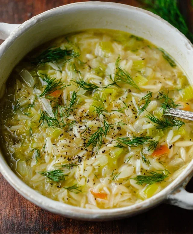 Orzo Leek and Dill Soup