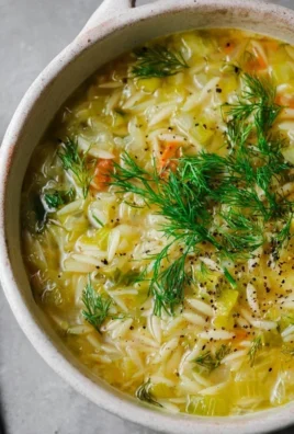 Orzo Leek and Dill Soup