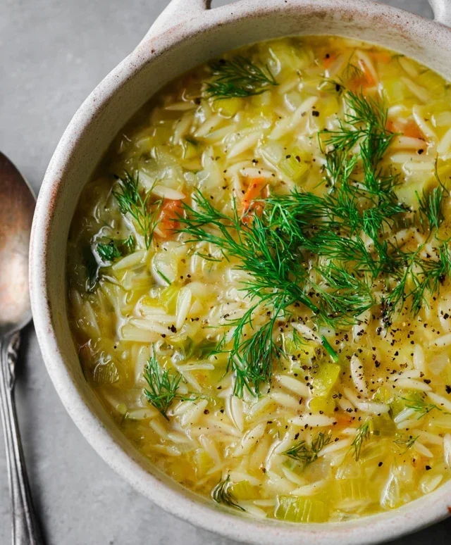 Orzo Leek and Dill Soup