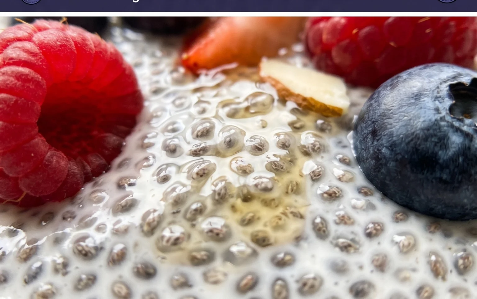 Chia Seed Pudding Recipe